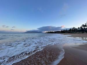 Antonysdiary profile