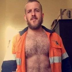 Arealgutfull profile