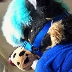 Bigtittytusky profile