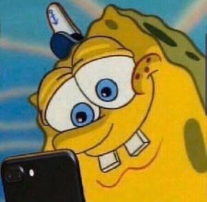 Brandimaxxxx profile