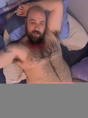 Britishbear69 profile