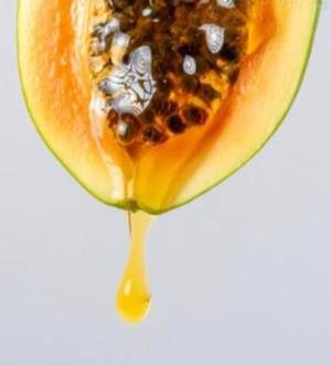 Bussdownkatiana profile