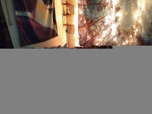 Catmorgan5991 profile