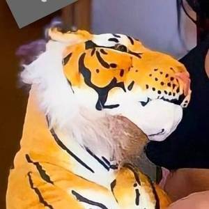 Dalgarottilurcenski profile