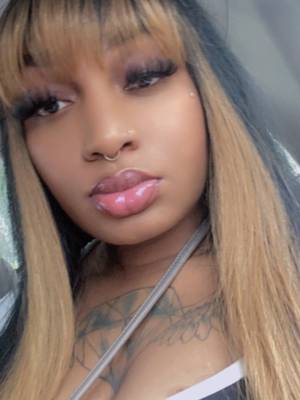 CaramelStallion profile