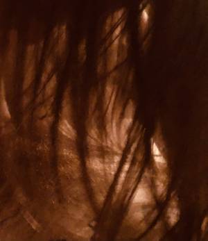 Hiddenbrooke profile