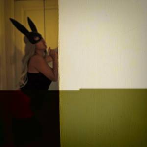 Italianrabbit profile