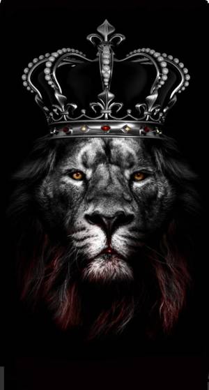 Kingmansamusa profile