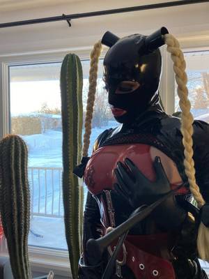 Latexcinderella profile