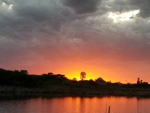 Lustypromotions profile