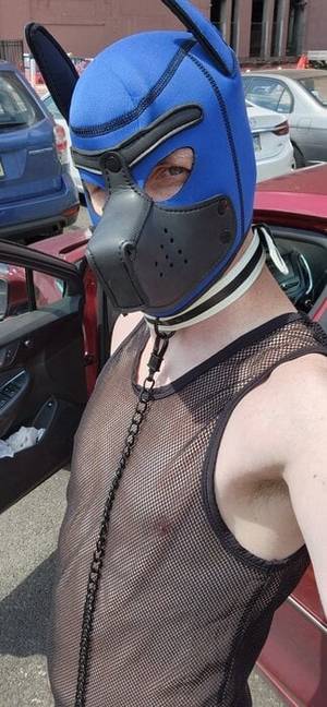 Mcpuptop profile