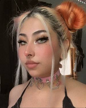 Melkittykatt profile