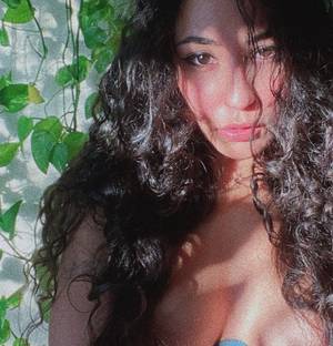 Missterraforest profile