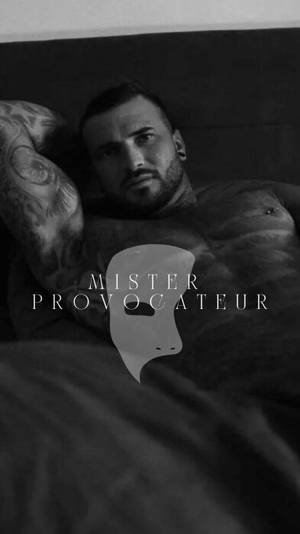 Misterprovocateur profile
