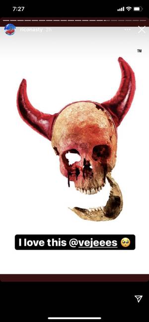 Mizzkittkatt profile