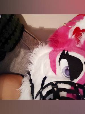 Naughtiedoge profile