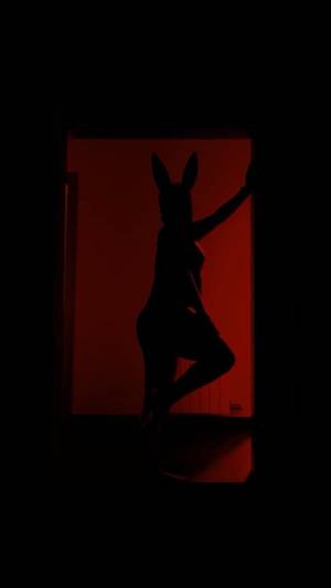 Nikkitasanders profile