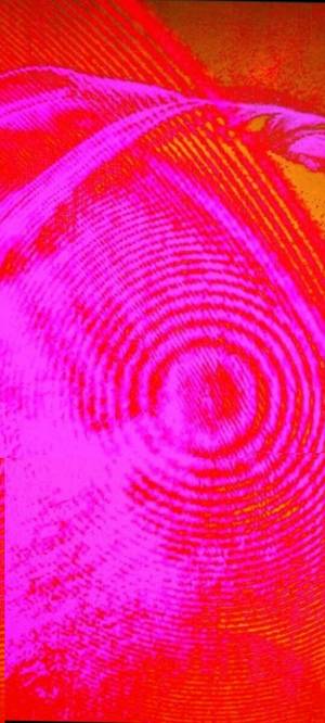 Reginaldregionzxp profile