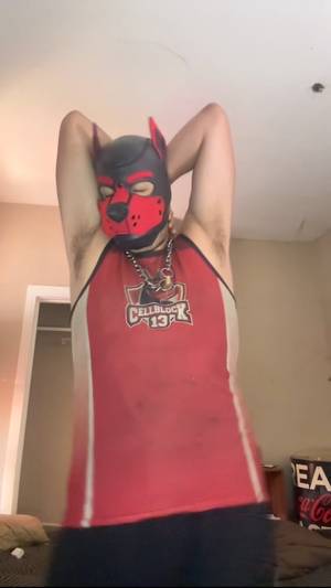 Riccotukiiwolf profile