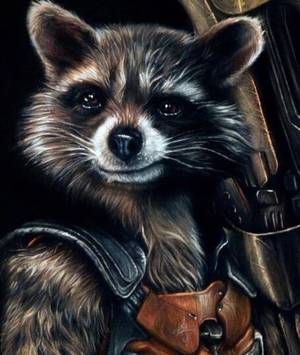 Rocketforfree profile