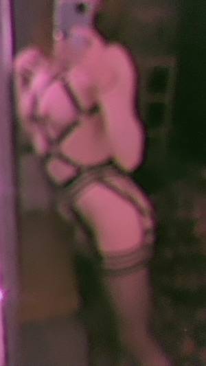 Shorttkitten profile