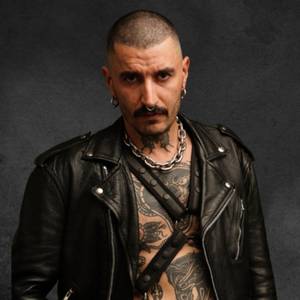 Stallion Papi🍼 profile