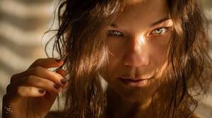 Theviktoriamodel profile