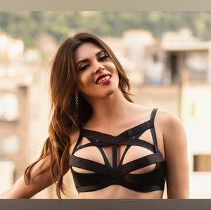 Transmonstercock profile