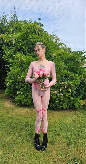 Tsaurorarose profile